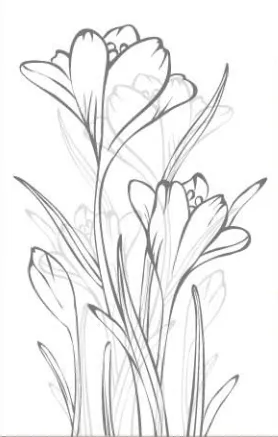 a sketch of a flower
